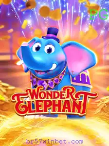Conheça o Fascinante Mundo de WonderElephant